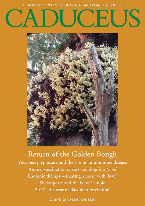 Caduceus issue 96 - print