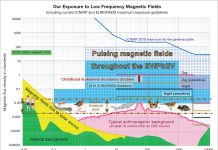 Dangerous, invisible electrosmog pollution