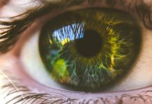 DMSO – the eyes’ forgotten remedy revolutionizing eye healing